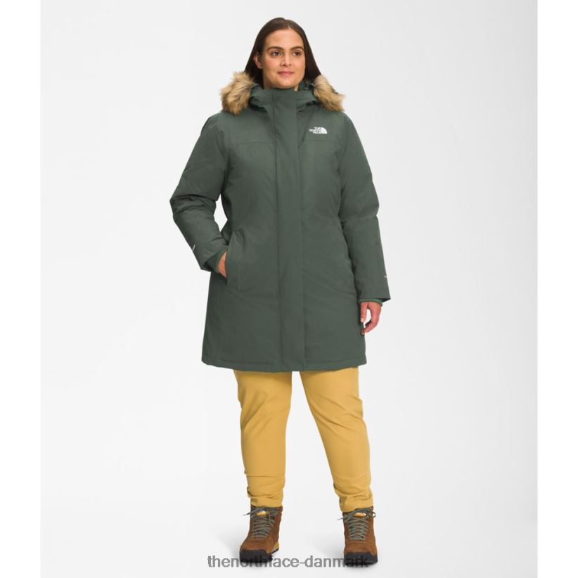 kvinder plus arktisk parka TZNT0D5824 timian The North Face